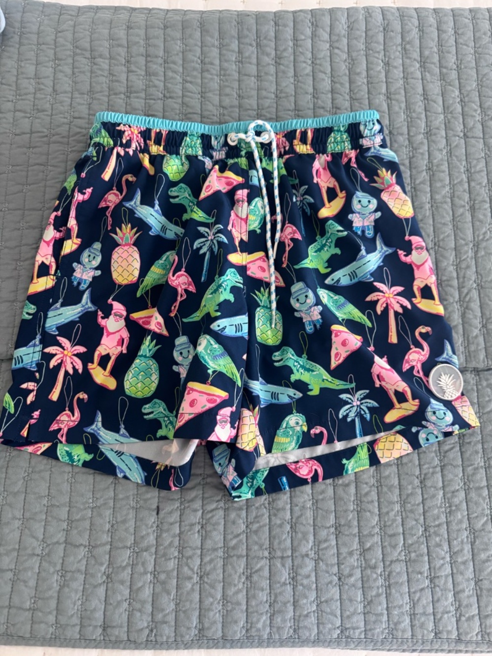 Chubbies - Picture 2 of 4